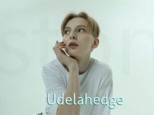 Udelahedge
