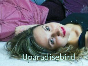 Uparadisebird