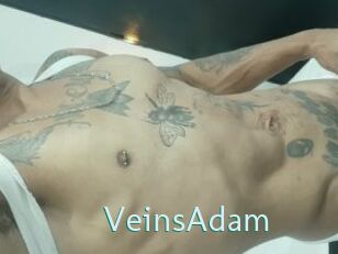 VeinsAdam