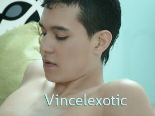Vincelexotic
