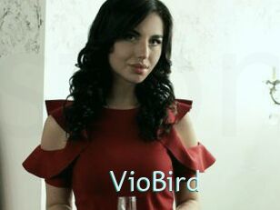 VioBird
