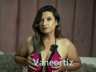 Vaneortiz