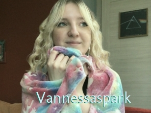 Vannessaspark