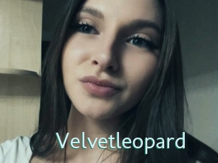 Velvetleopard