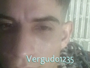 Vergudo1235