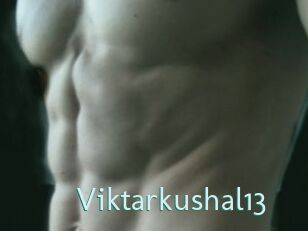 Viktarkushal13