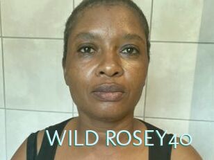 WILD_ROSEY40