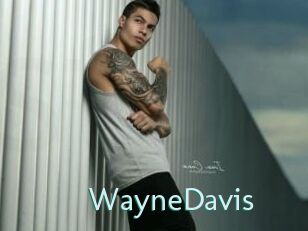 WayneDavis
