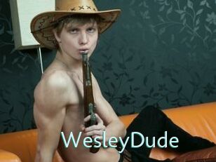 WesleyDude