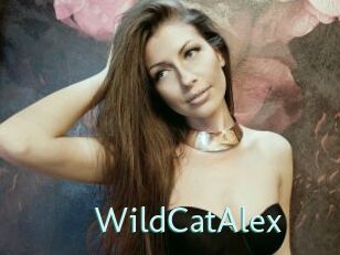 WildCatAlex