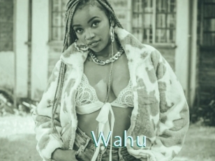 Wahu