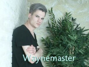 Waynemaster