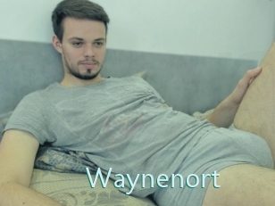 Waynenort