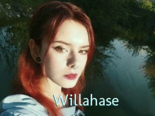 Willahase