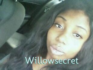 Willow_secret
