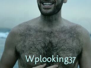 Wplooking37