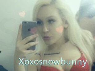 Xoxosnowbunny