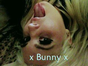 _x_Bunny_x_