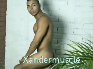 Xandermuscle