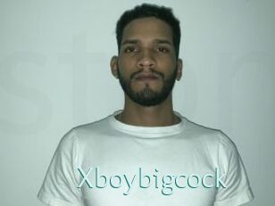 Xboybigcock