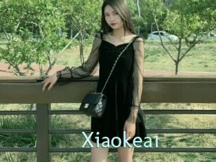 Xiaokea1