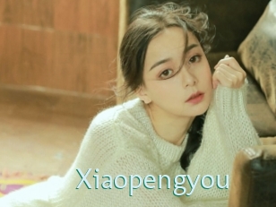 Xiaopengyou