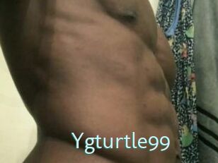 Ygturtle99