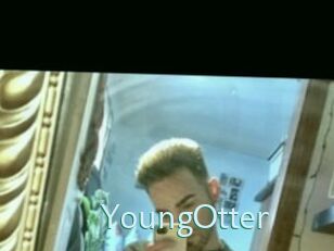 YoungOtter