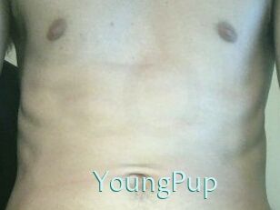 YoungPup