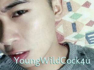 YoungWildCock4u