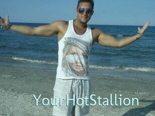 YourHotStallion