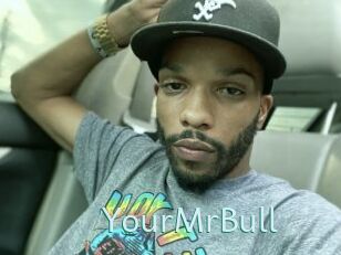 YourMrBull