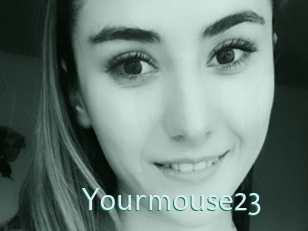 Yourmouse23
