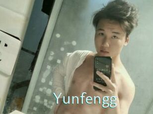 Yunfengg