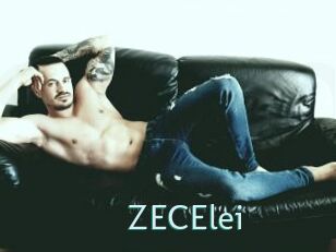 ZECElei