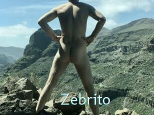 Zebrito