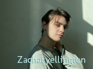 zacharyellington Straponles
