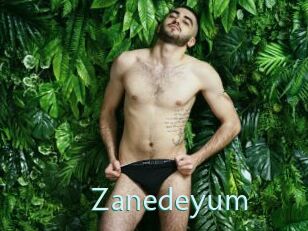 Zanedeyum