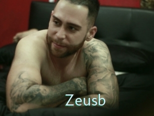 Zeusb