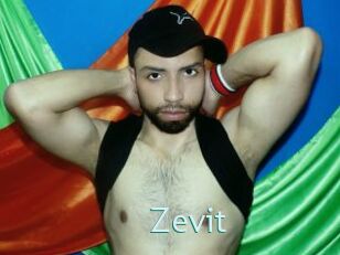Zevit
