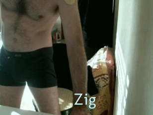 zig Straponles